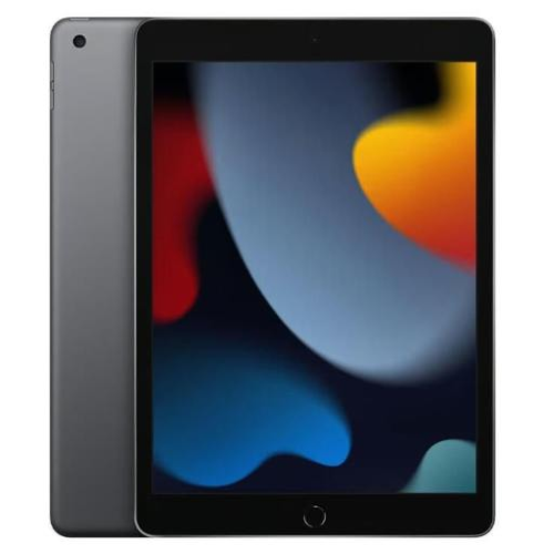 Apple iPad 9th (2021) 64GB LTE Gray - Usato Grado A